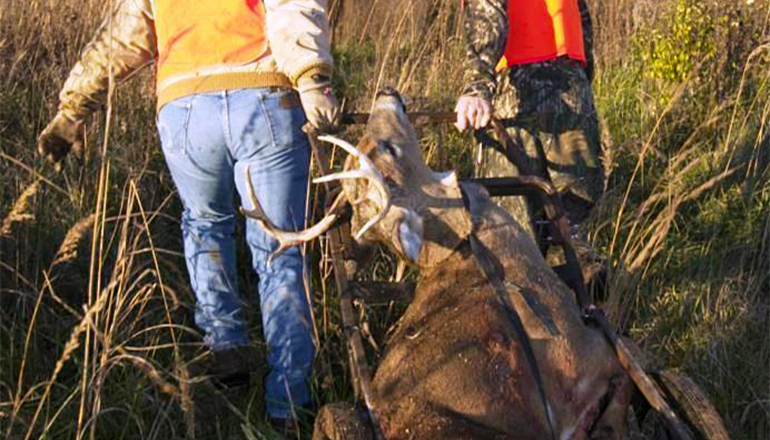 Two hunters dragging deer carcass
