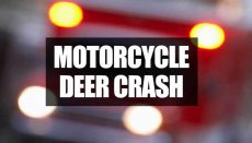 Motorcycle deer crash