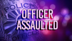 Police Officer Assaulted