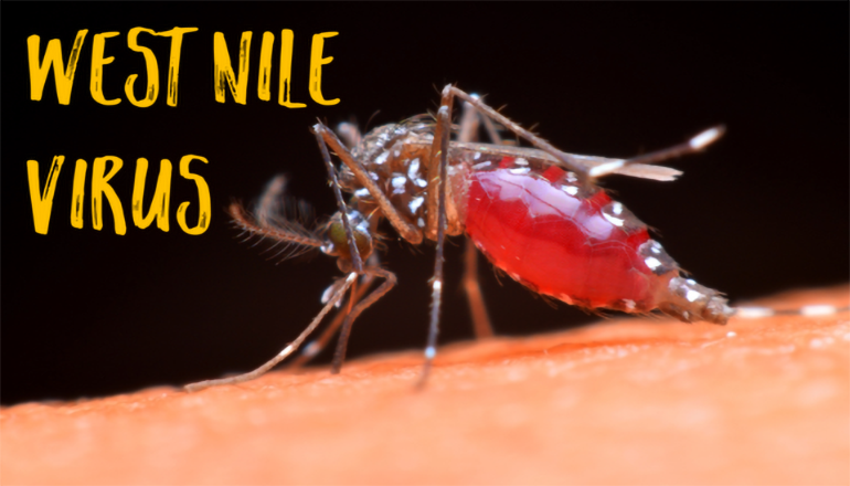 weet nile virus