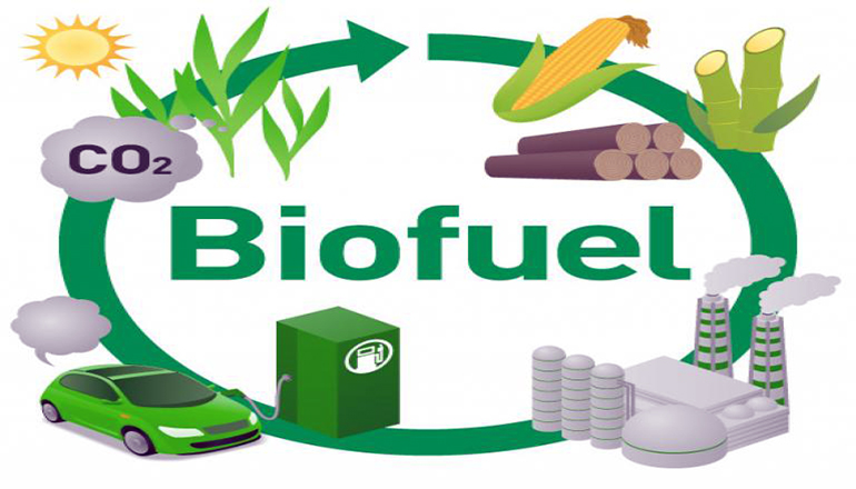 Biofuel Graphic