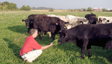 Missouri Livestock Symposium names John Wood 2019 Livestock Person of the Year