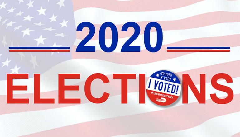 2020 Elections vote