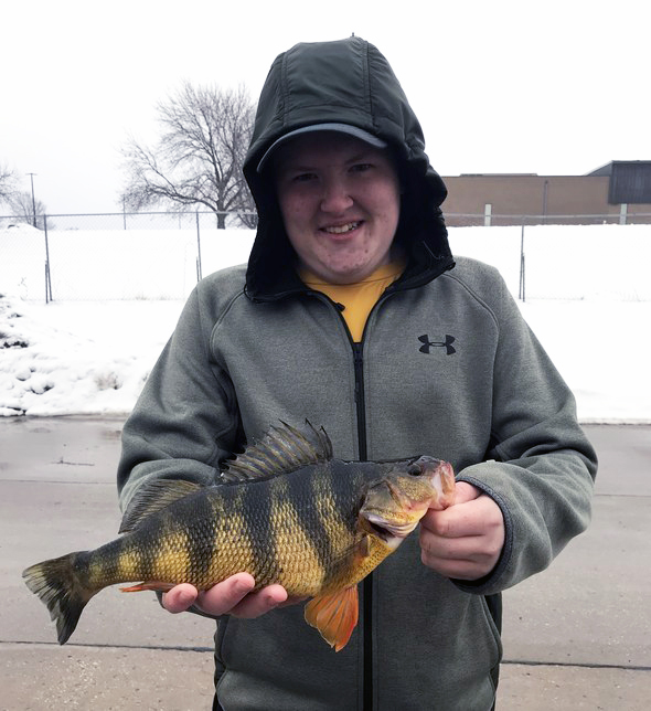 State Record Yellow Perch caught by Tyler Halley