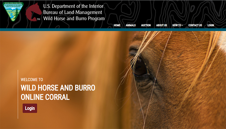 Bureau of Land Management online Corral Final