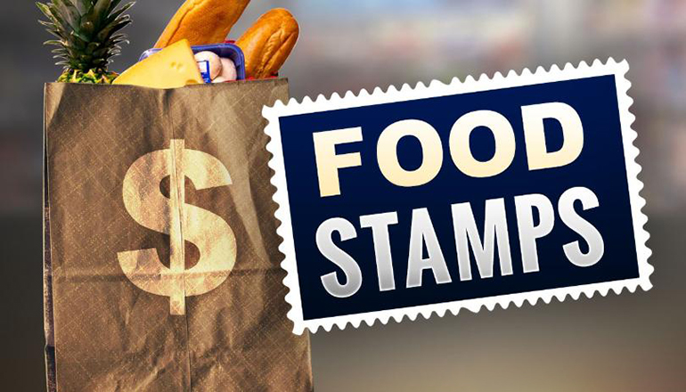 Food Stamp or SNAP Graphic
