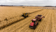 Farm Machinery or combine or tractor or wheat field or harvest or farm crop or corn