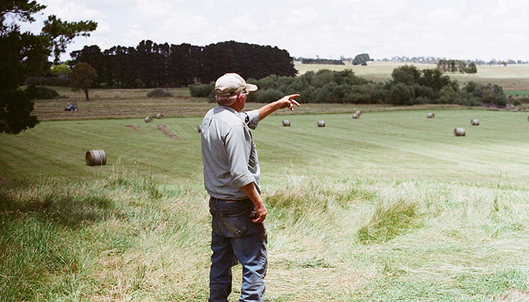 Farmer pointing at field of hay