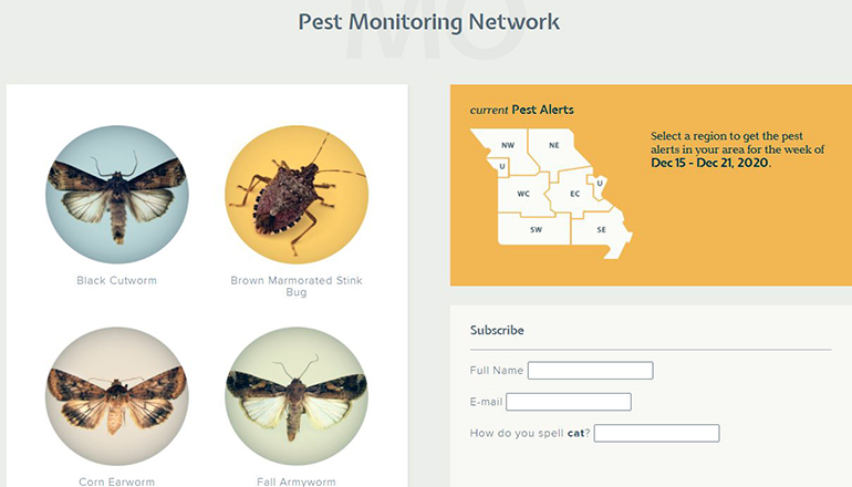 University of Missouri Extension pest monitoring website