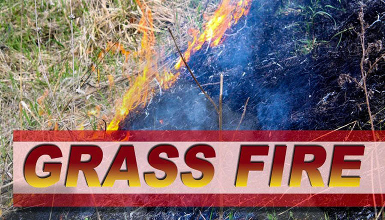 Grass FIre