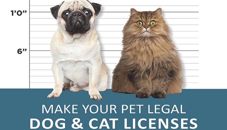 Dog and Cat pet licenses