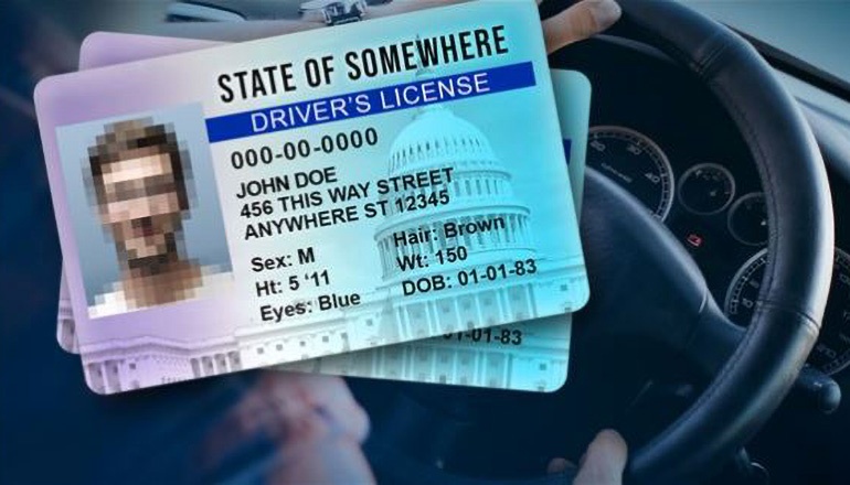 Driver License news graphic