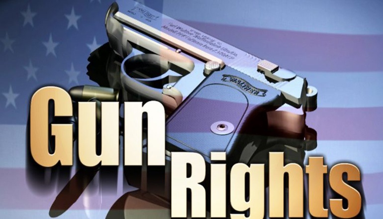 Gun RIghts graphic V2