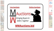 MW Auctions website