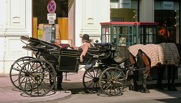 Man sitting in carriage pulled by horse