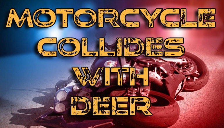 Motorcycle collides with deer