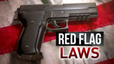 Red Flag Gun Laws Graphic