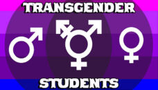 Transgender Students Graphic