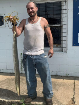 Carlin Allison of Doniphan now holds a rare state record for American eel after reeling in a 6-pound, 15-ounce fish on the Current River. MDC confirms this is the ninth state record fish recorded in 2021.