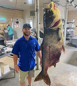 Matt Neuling catches World Record Bighead Carp (Small Photo)
