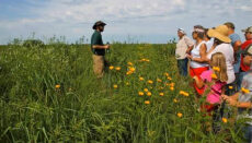 Prairie Day in Bethany