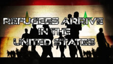 Refugees News Graphic