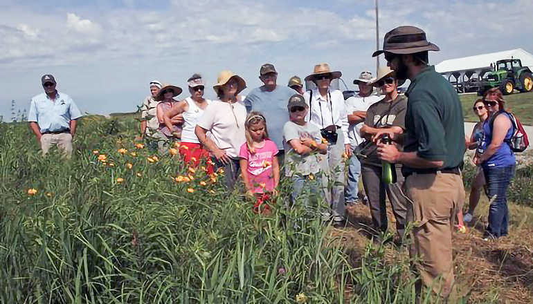 Dunn Ranch Prairie