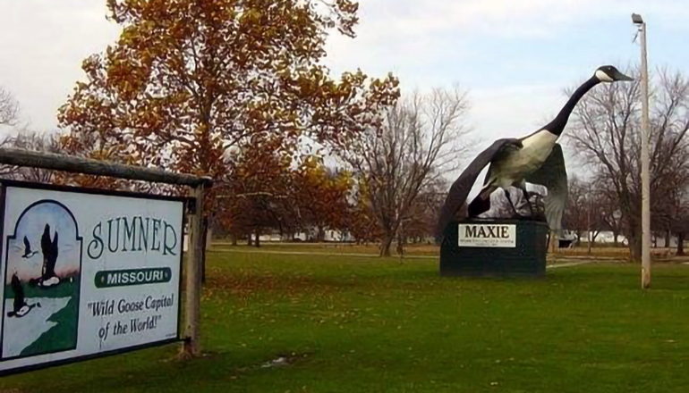 Sumner Wild Goose Festival set for this weekend in Sumner Sumner Wild Goose Festival set for this weekend in Sumner