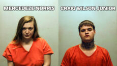 Mercedeze Norris and Craig Wilson Junior booking Photo