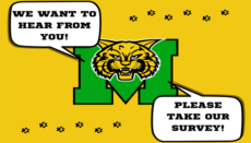 Milan Survey Graphic