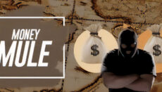 Money Mule news graphic