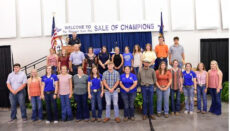 Youth in Agriculture Missouri State Fair Scholarship