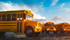 Yellow School Bus Fleet (Licensed Via Envato Elements)