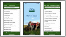 USDA Market News Mobile app website screenshot