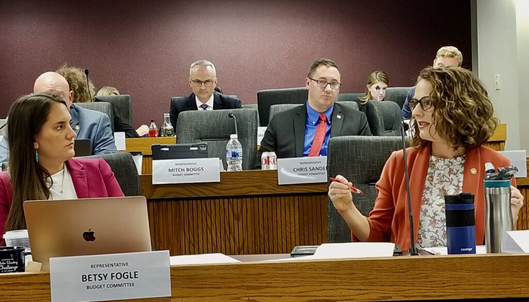 State Rep. Maggie Nurrenbern makes a plea for increased funding for public schools during Thursday’s House Budget Committee markup session. (Rudi Keller - Missouri Independent)