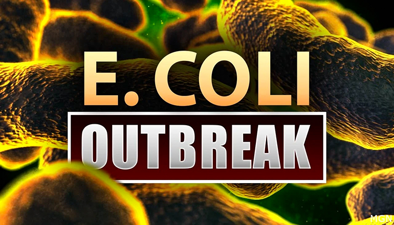 E Coli Bacteria Outbreak