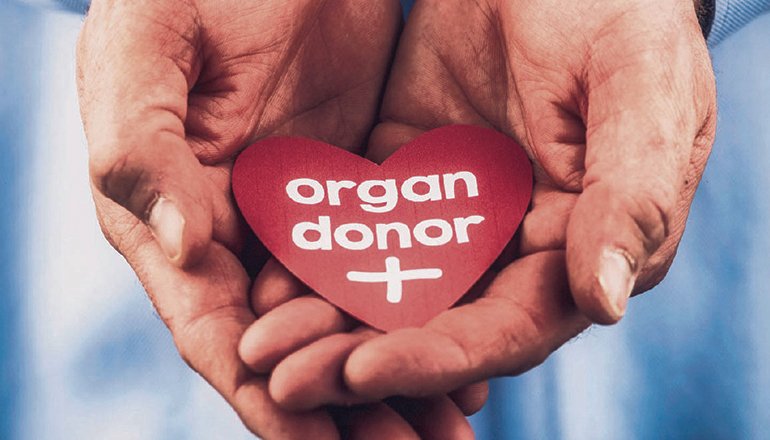 Organ Donor News Graphic