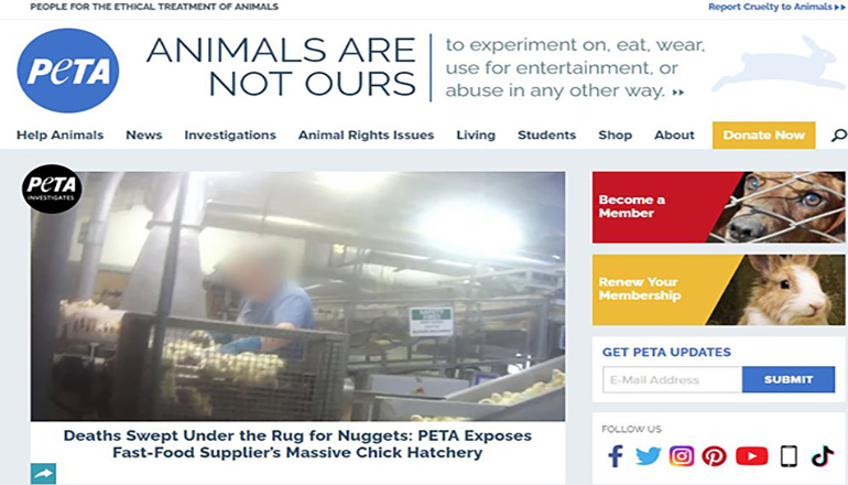 PETA renews efforts for criminal investigation at Smithfield plant in Milan PETA renews efforts for criminal investigation at Smithfield plant in Milan