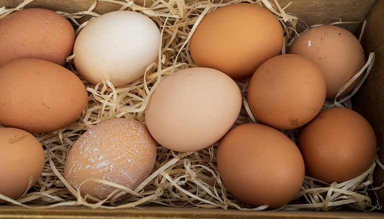 Photo of eggs laying in straw (Photo by Nick Fewings on Unsplash)
