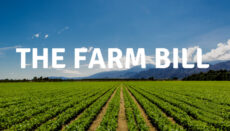 The Farm Bill News Graphic