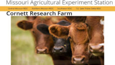 University of Missouri Cornett Research Farm website