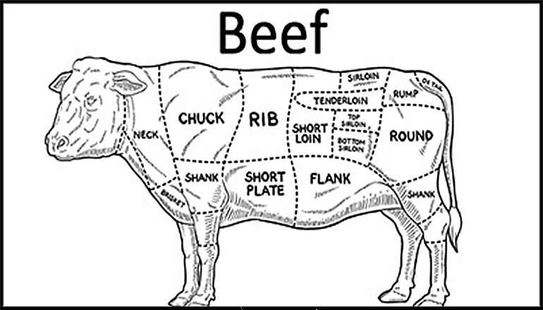 Beef meat cuts graphic