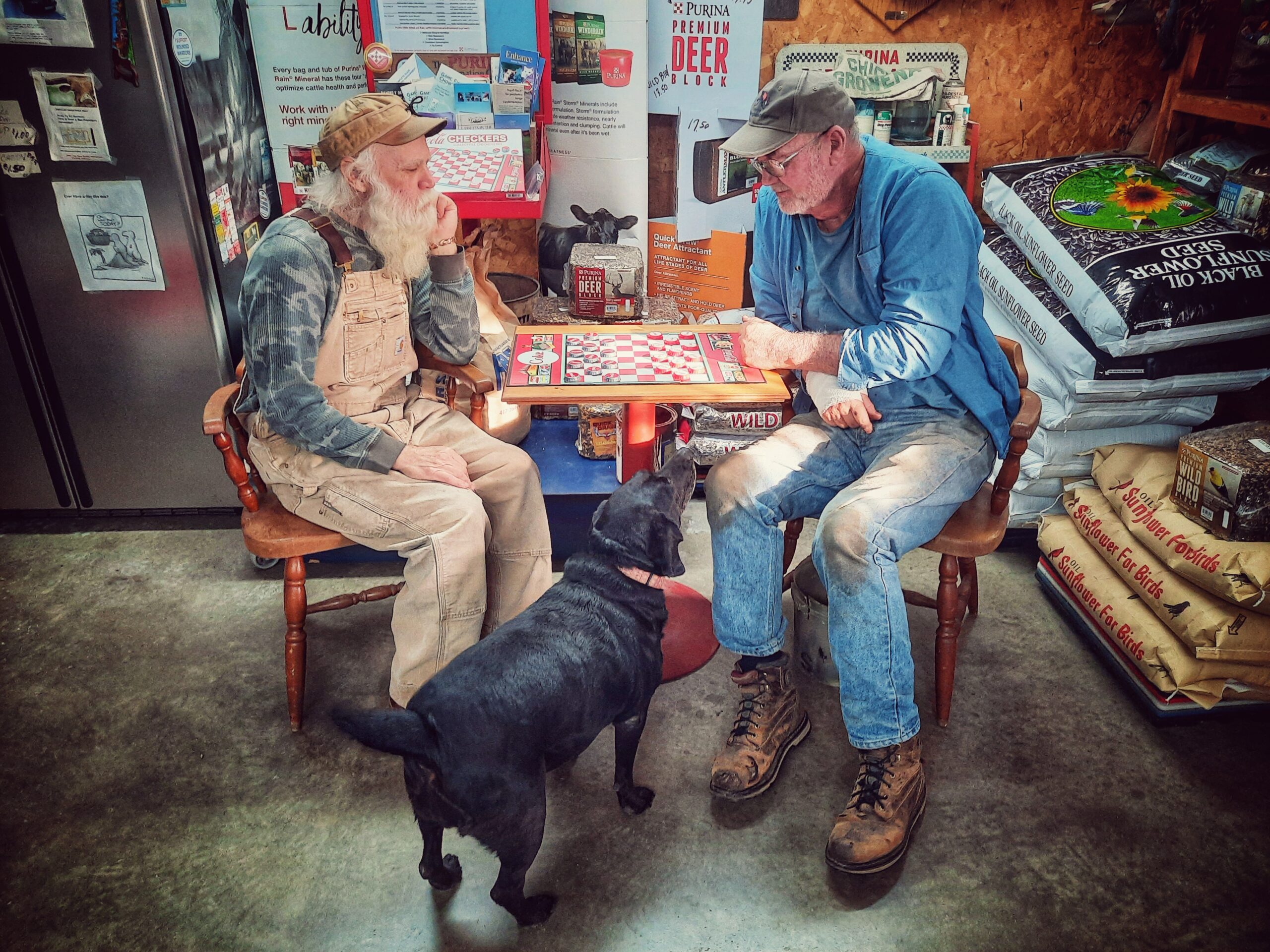 2022 Focus on Missouri Agriculture photo contest winners announced