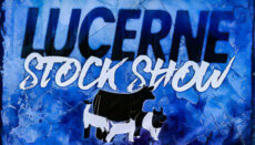 Lucerne Stock Show
