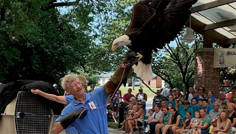 MDC to hold programs at Mo State Fair including raptors