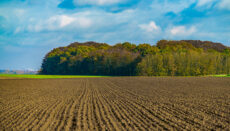 Landscape of United States farmland (Photo via Envato Elements)