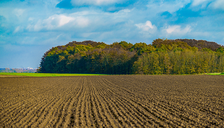 Landscape of United States farmland (Photo via Envato Elements)