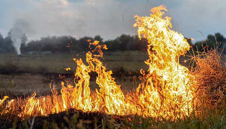 A fire burns in a field with dry grass.