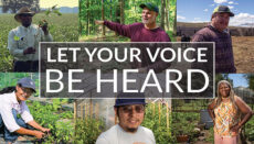 Let Your Voice Be Heard (Survey) News Graphic