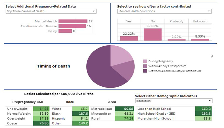 Missouri pregnancy-Associated Mortality Review Dashboard
